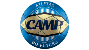 Logo VEMOB